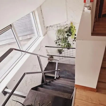 Lightful Architectural House Ghent